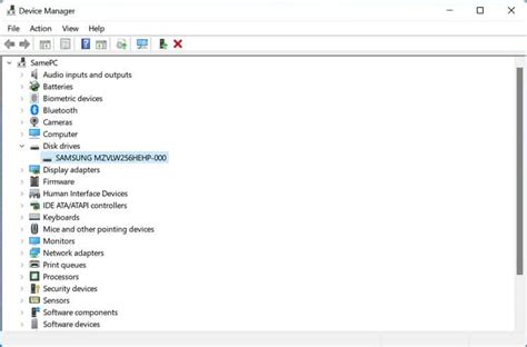 How to Check SSD or HDD in Laptop (4 Possible Ways).